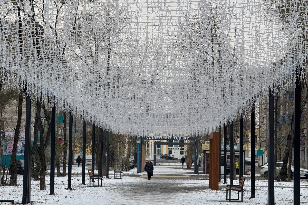 Фото: amurobl.ru