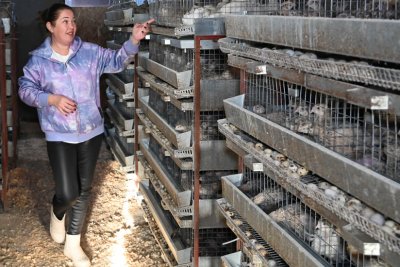 Из автоинструкторов — в фермеры: амурчанка завела перепелов и расширяет бизнес благодаря гранту