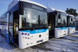 В Свободный пришли автобусы, которые работают на газе