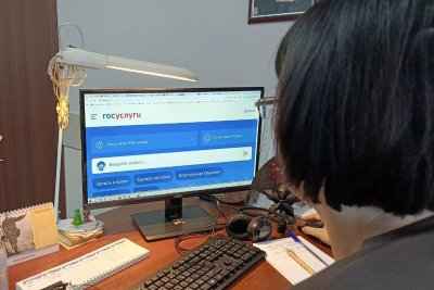 Подробный план запуска бизнеса теперь доступен амурчанам на Госуслугах