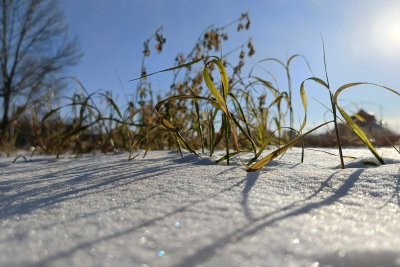 Управляйкам Благовещенска выдали 54 предостережения за плохую уборку снега у 216 многоэтажек