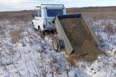 Этой зимой зверей в амурских заказниках накормят 160 тоннами зерна