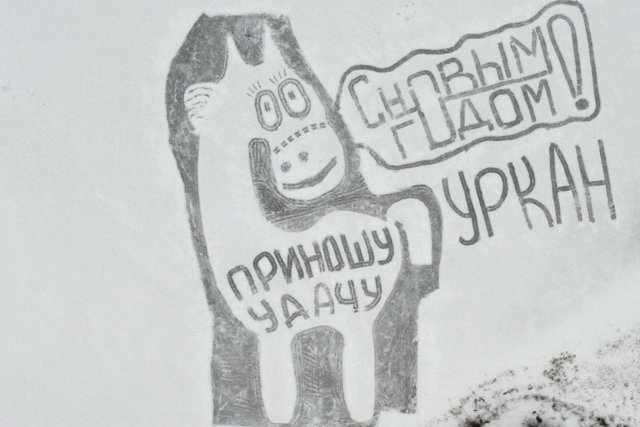 47 метров от ушей до копыт: как в селе Уркан за три часа нарисовали главный символ 2026 года