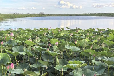 Озеро Героев появилось на карте Благовещенского округа после публикации «Амурской правды»