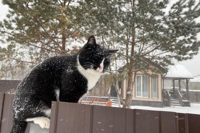 Жителям востока Амурской области пообещали небольшой снег в четверг