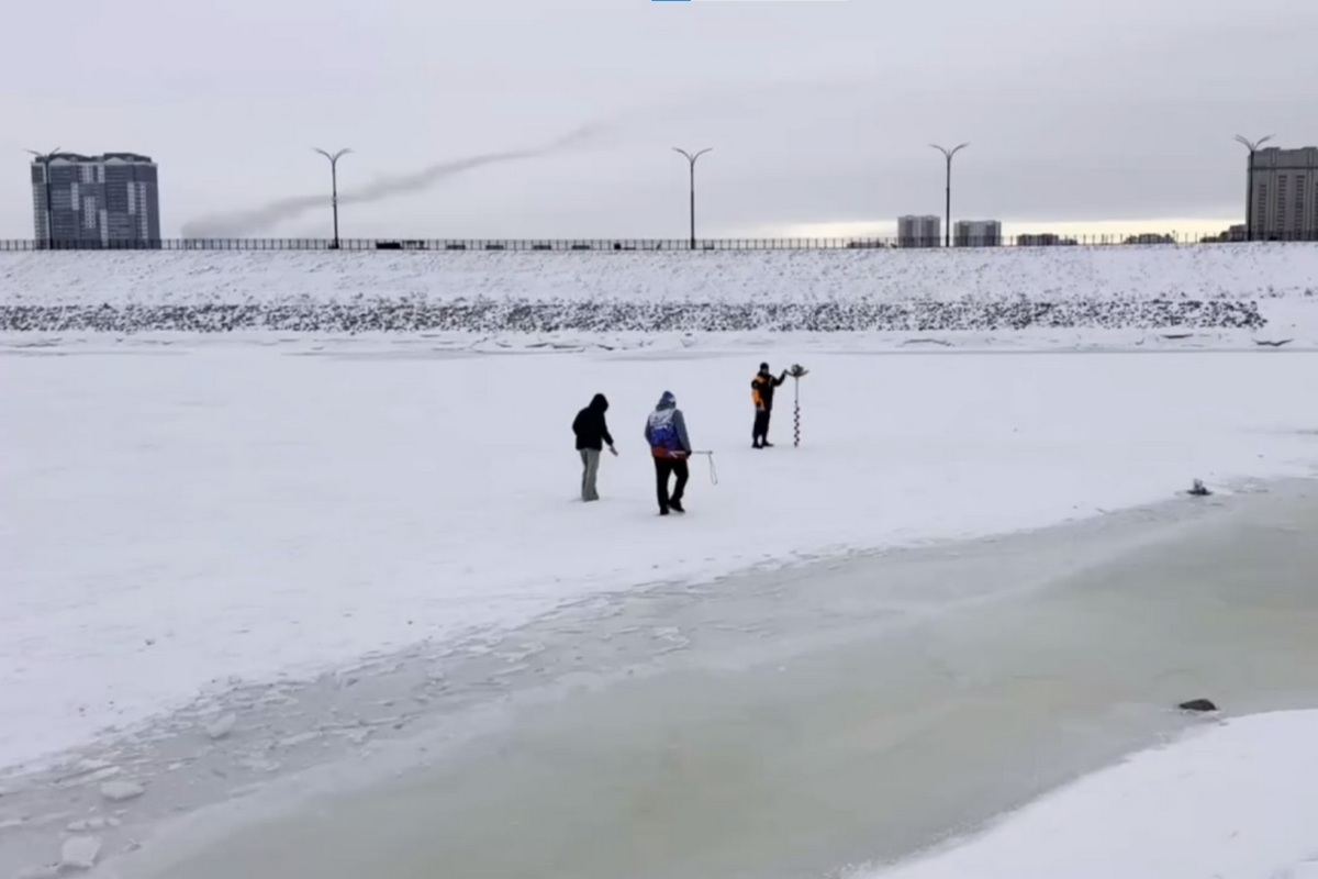 Фото: Скриншот видео t.me/fest_amur