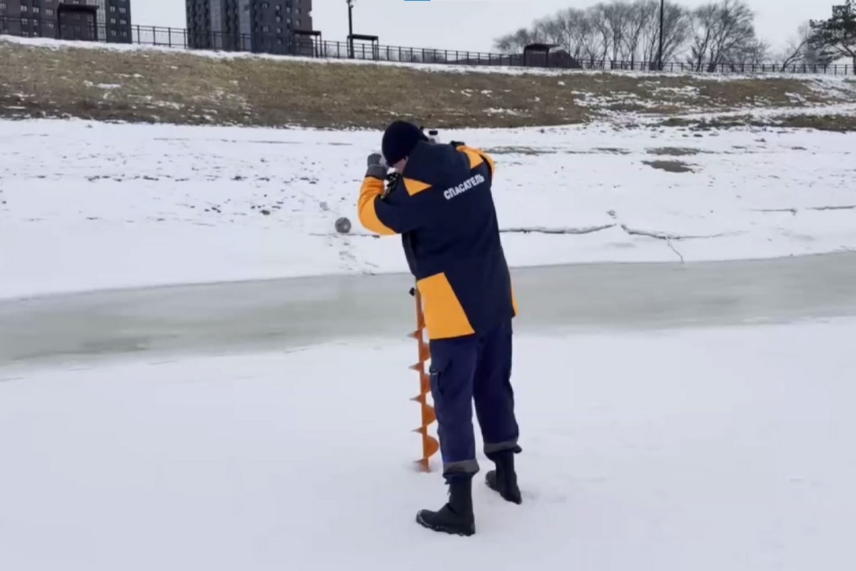 Фото: Скриншот видео t.me/fest_amur