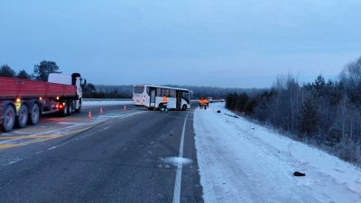 Под Свободным автобус ПАЗ насмерть сбил пешехода