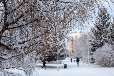 Последний день осени запомнится снегом и ветром: прогноз погоды на 30 ноября
