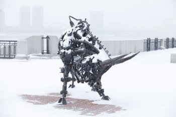 Снег, метель, позёмок: прогноз погоды в Приамурье 1 декабря