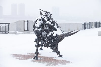 Снег, метель, позёмок: прогноз погоды в Приамурье 1 декабря