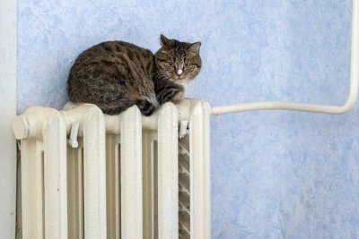 От тепла в микрорайоне Благовещенска отключили 13 жилых домов и детсад