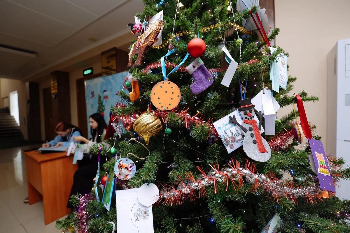 Фото: amurobl.ru