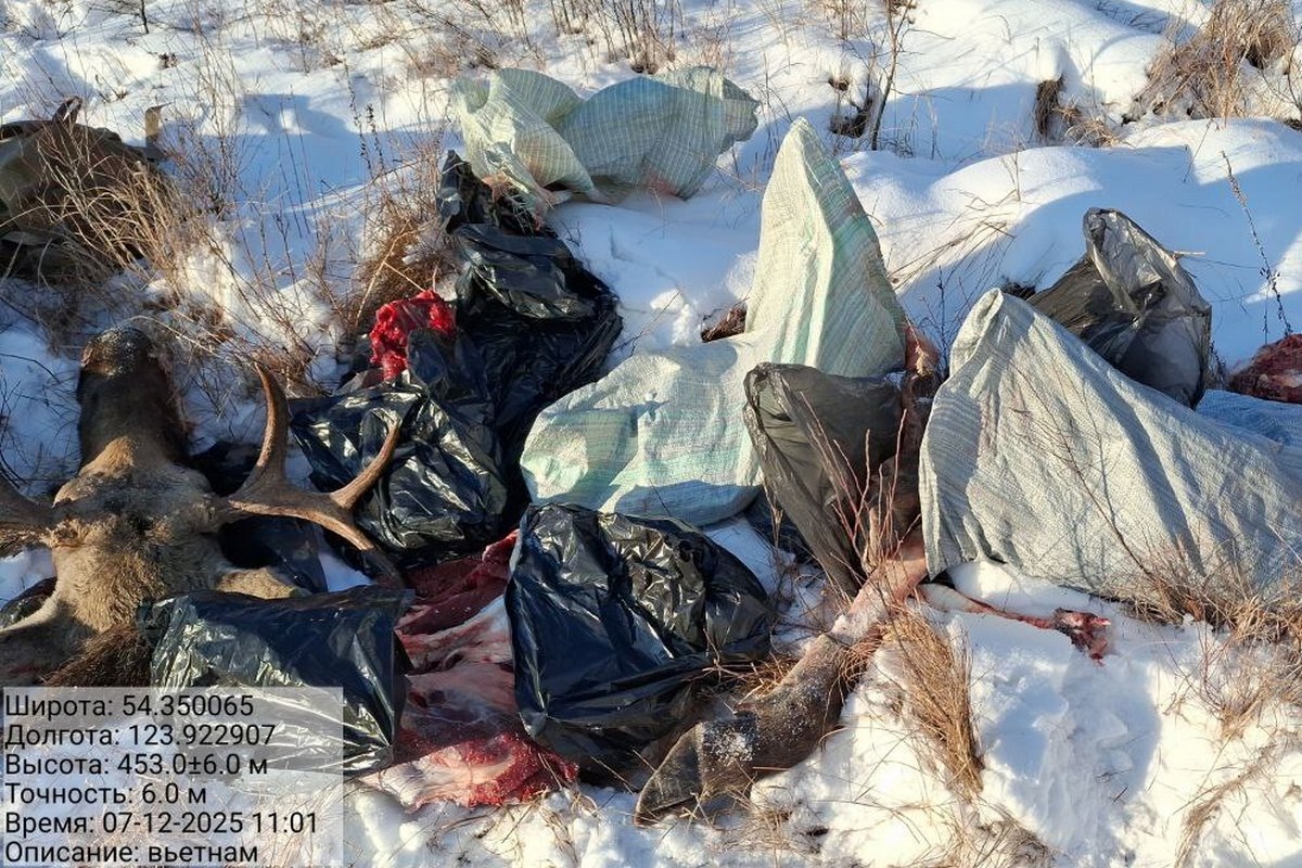 Фото: Управление по охране животного мира по Амурской области