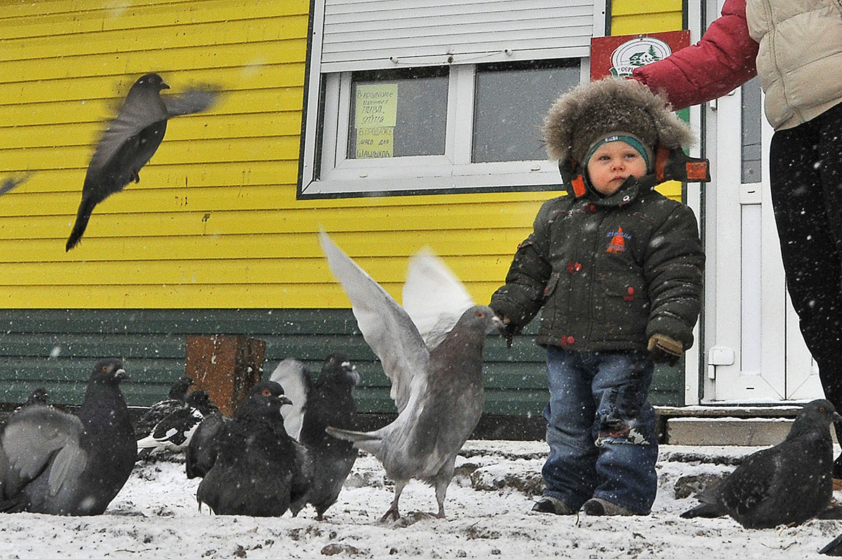 Фото: Андрей Оглезнев