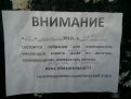 Фото: Пресс-служба ОПФР по Амурской области