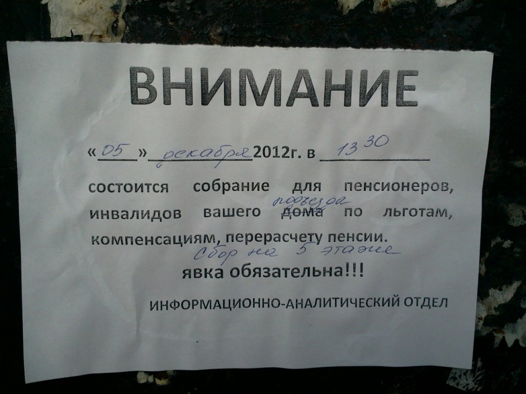 Фото: Пресс-служба ОПФР по Амурской области