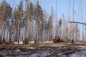 Фото: Архив АП