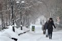 Фото: Андрей Оглезнев