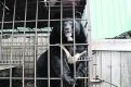 Фото: Архив АП