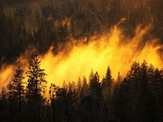 Тында задыхается от дыма / Пока на юге области спасаются от наводнения, Тынду окутывает смог от лесных пожаров. С установлением солнечной погоды на севере Приамурья начал дуть северный ветер, который нагоняет дым от пожаров, бушующих в Республике Саха (Якутия).