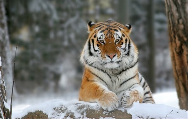 Фото: 66.ru
