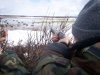 Охотники пытаются открыть весеннюю охоту на водоплавающих в Приамурье