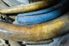 Динозавры: только для взрослых