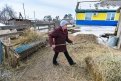 Целительница из Чеснокова пошла в фермеры от безысходности