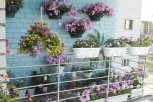 Как превратить балкон в цветущий сад: советы специалистов