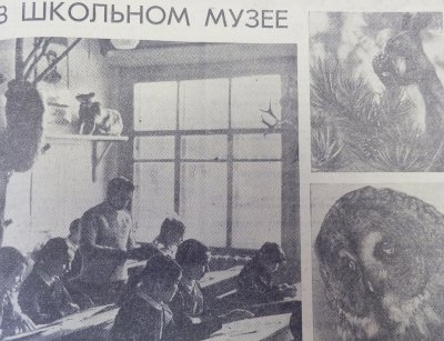 Кабарга в Усть-Нюкжинской школе, шефство над строительством Февральска — о чем писала АП