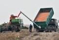 Амурские аграрии получат более 400 миллионов рублей из федерального бюджета