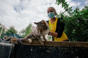 Благовещенские зоозащитники вызволили истощенных кошек через окно. 16 фото