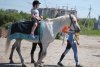 Дети-инвалиды примут участие в соревнованиях по адаптивному конному спорту