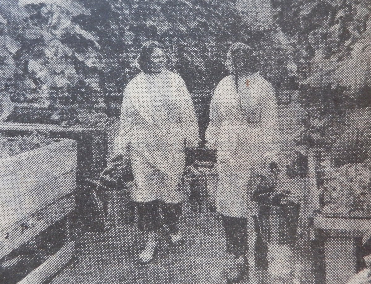 Тепличное хозяйство мостоотряда в Тынде выращивает огурцы. 1982 г.