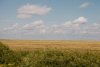Два циклона принесут Приамурью сильные дожди