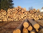 Экспорт амурского леса вырос на 23%