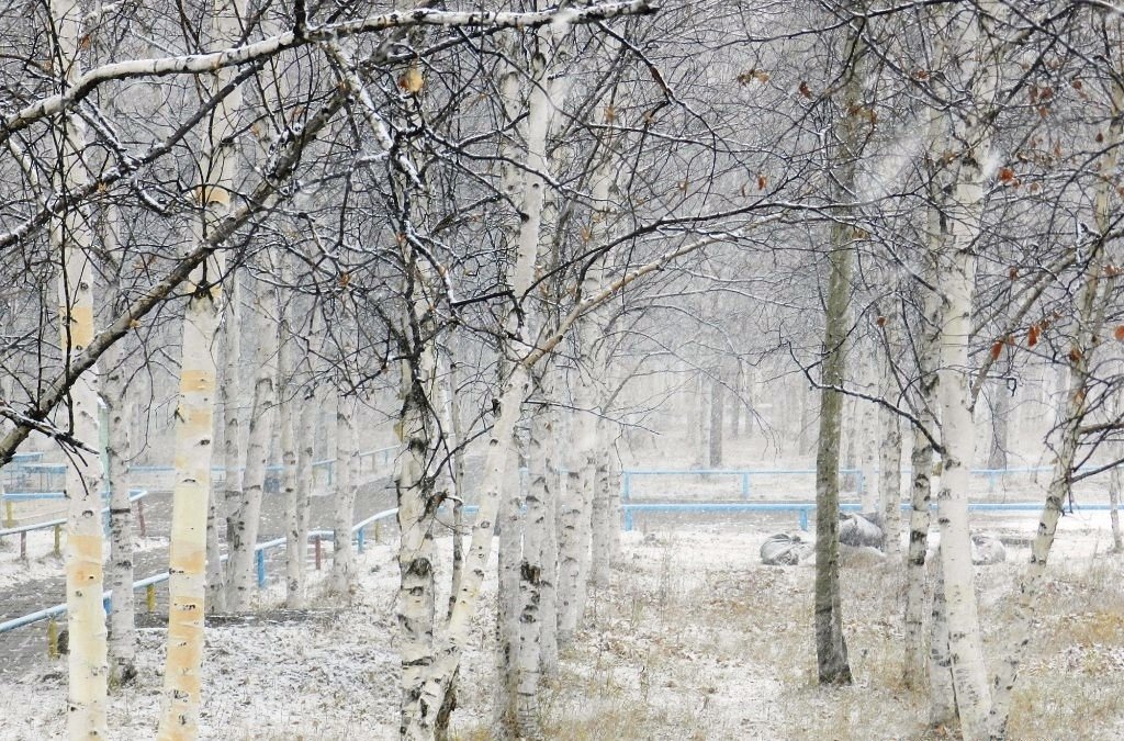 Выпал первый снег. Первый снег в Тынде. Репетиция зимы. Выпал первый снег, Дмитрий Лёвин. Благовещенск в ноябре.