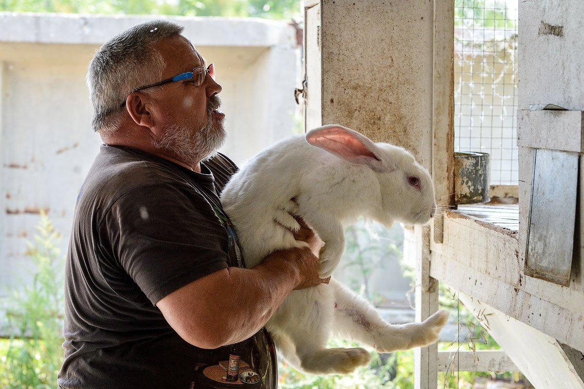 Мини-ферма Михайлова для кроликов: как сделать своими руками, чертежи, цена