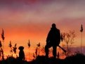Фото: pro-goroda.ru