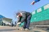 Выбей бабушку в окошке