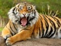 Фото: aneco.ru