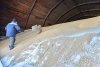 Рекордный урожай сои  продадут без остатка