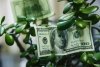 Доллару лимит не писан: банки не намерены ограничивать продажу валюты населению