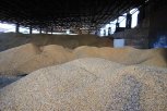 Высокие цены на зерно принесли амурским аграриям 2 миллиарда прибыли