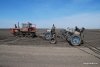 Вопреки кризису Приамурье увеличит площади сои