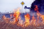 В Амурской области зарегистрирован первый лесной пожар