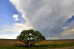 Космодром погоды не сделает: АП выясняла, почему меняется климат в Приамурье