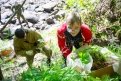 Амурские экологи спасли редкие растения от исчезновения в водохранилище ГЭС. Фоторепортаж