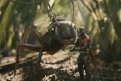 Шут в муравейнике: рецензия на новый кинокомикс «Человек-муравей»